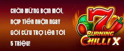 Vòng Quay May Mắn Mỗi Ngày
